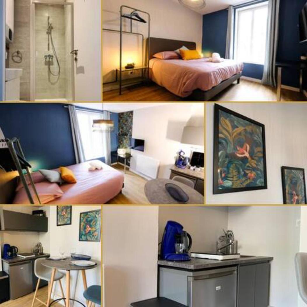 Luxueux Studio Rue Bannier Neuf Apartment Orleans Ngoại thất bức ảnh